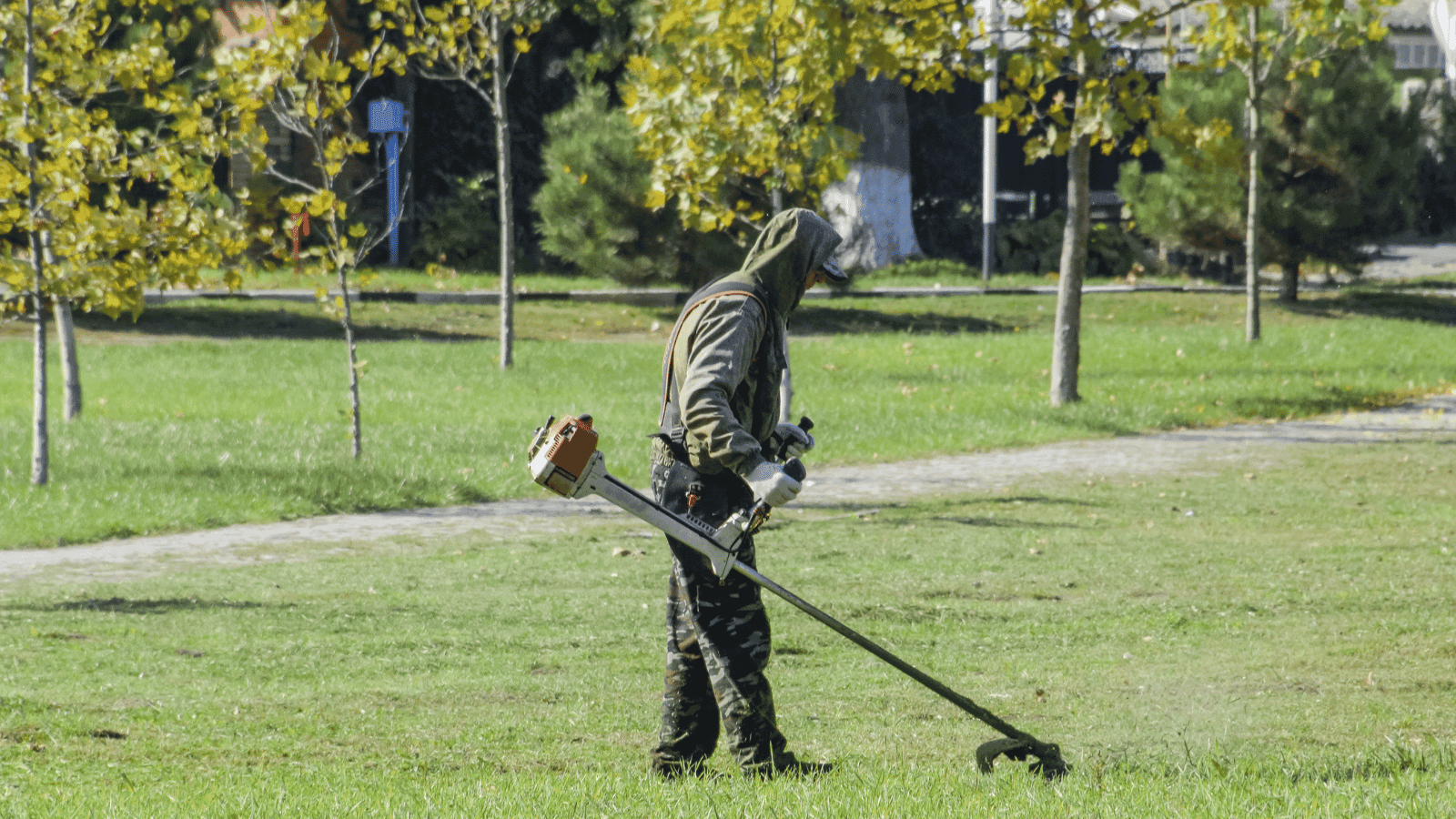 Jak przygotować osiedle na wiosnę? Koszenie trawy i pielęgnacja terenów zielonych