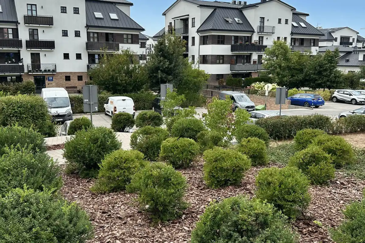 Zadbane krzewy i zieleń wspólna na osiedlu mieszkaniowym w Lublinie