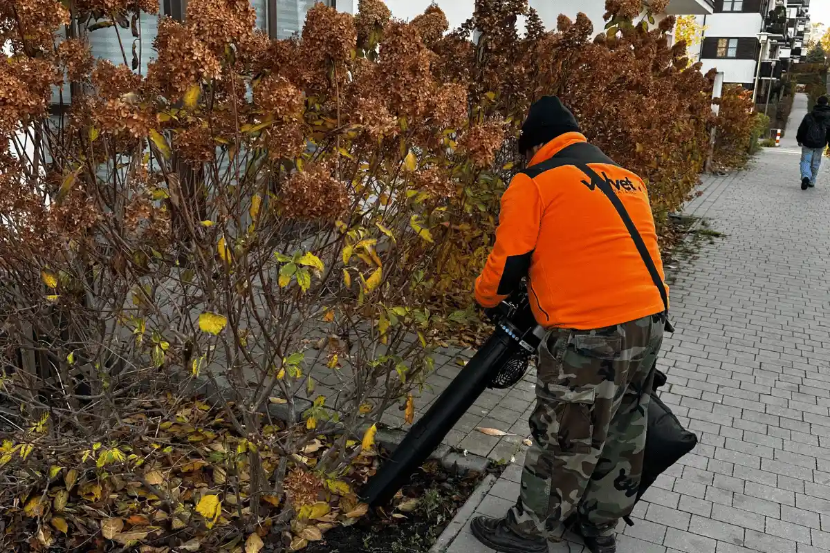 usuwanie liści i jesienne utrzymanie terenów zewnętrznych przy osiedlu w Lublinie