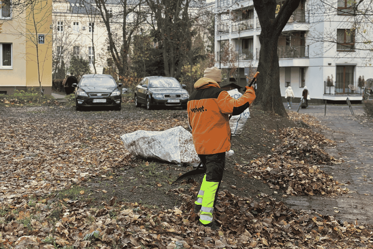 Jesienne grabienie liści i porządkowanie terenu wspólnego przy budynkach mieszkalnych