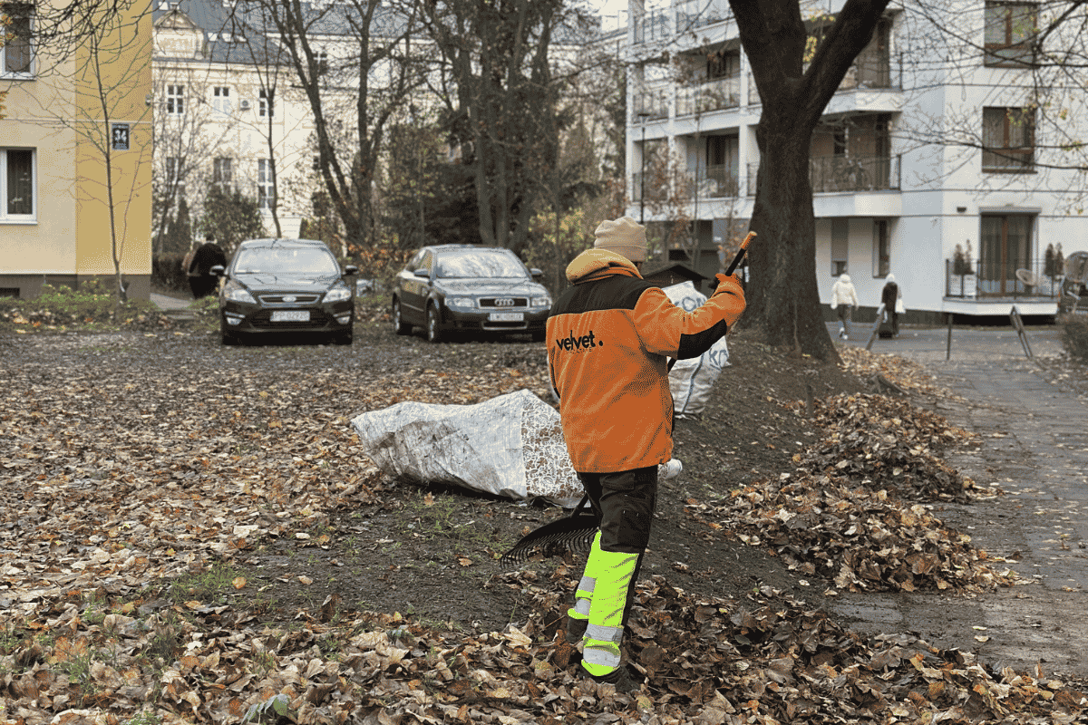 Jesienne sprzątanie terenu zewnętrznego wspólnoty mieszkaniowej w Lublinie