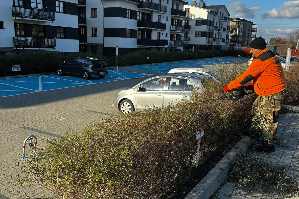 Przycinanie żywopłotu przy parkingu na nowoczesnym osiedlu mieszkaniowym