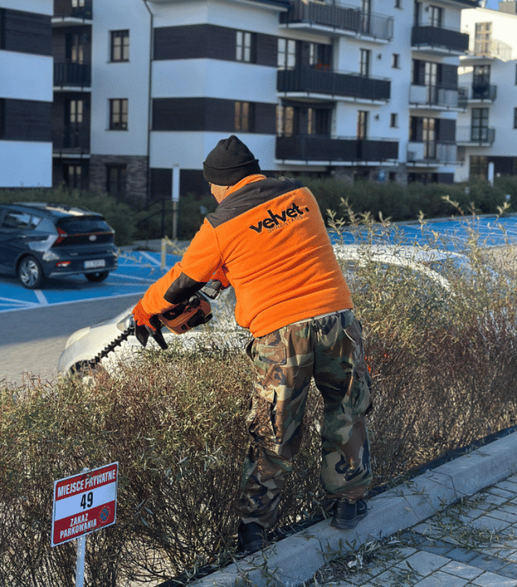 Utrzymanie osiedli mieszkaniowych w Lublinie – pielęgnacja zieleni, przycinanie żywopłotu przez Velvet Sprzątanie