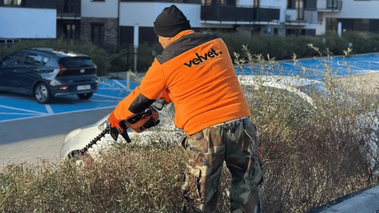 Utrzymanie osiedli mieszkaniowych w Lublinie – pielęgnacja zieleni, przycinanie żywopłotu przez Velvet Sprzątanie