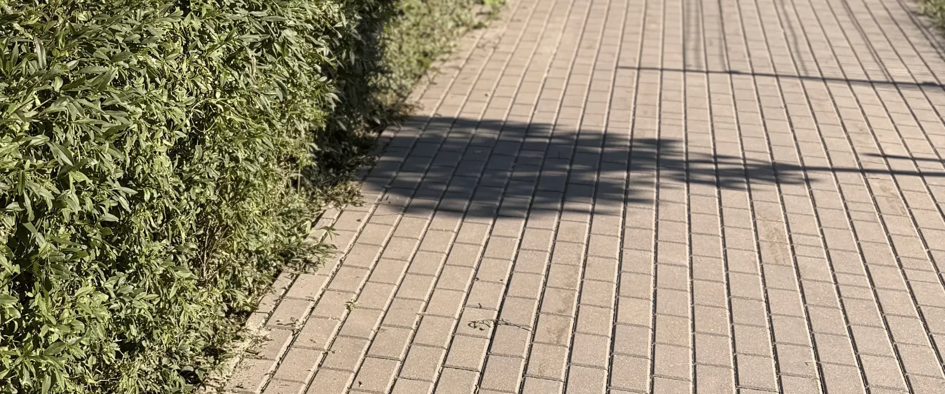 Czysta kostka brukowa na osiedlu mieszkaniowym po regularnym utrzymaniu terenów zewnętrznych