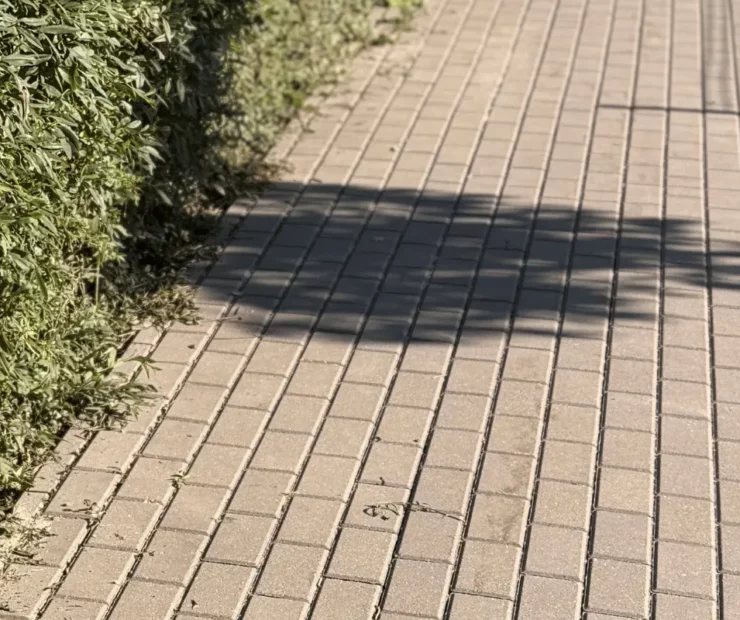Czysta kostka brukowa na osiedlu mieszkaniowym po regularnym utrzymaniu terenów zewnętrznych