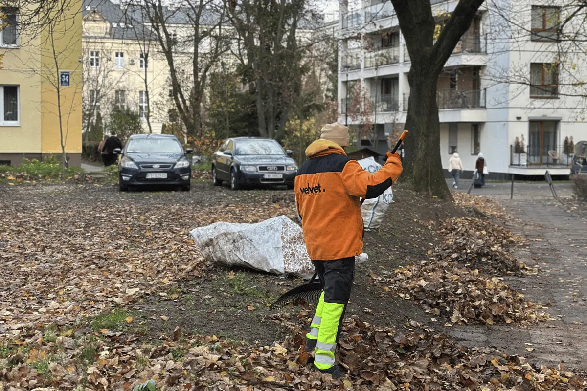 Grabienie i zbieranie jesiennych liści na terenie wspólnoty mieszkaniowej
