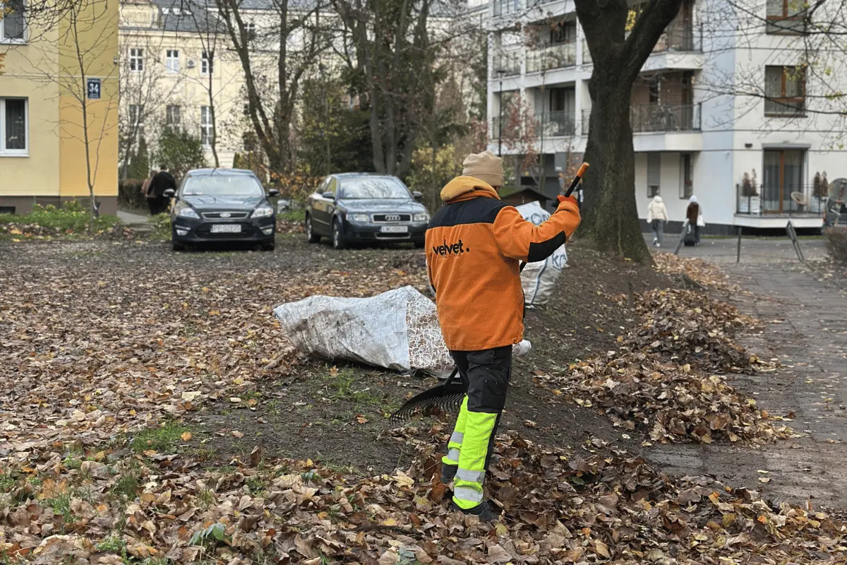 Grabienie i zbieranie liści na osiedlu podczas jesiennych porządków