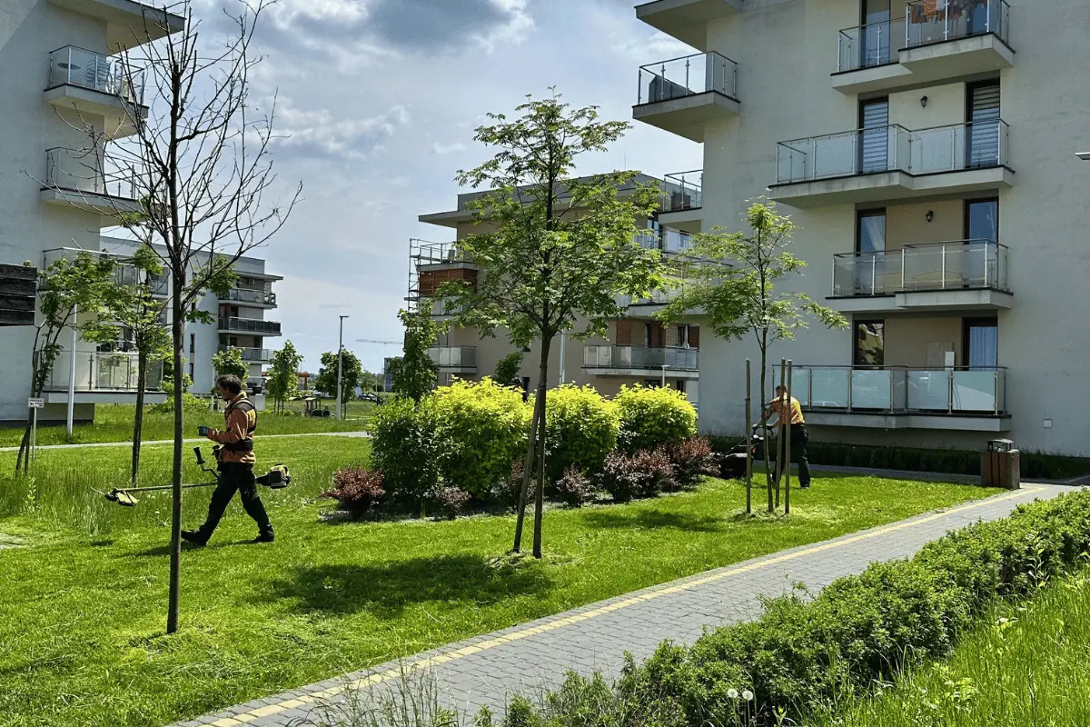 Letnia pielęgnacja zieleni wokół budynków mieszkalnych, koszenie trawy i utrzymanie terenów wspólnych na osiedlu