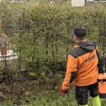 Kompleksowe utrzymanie terenów zewnętrznych – co zyskuje wspólnota