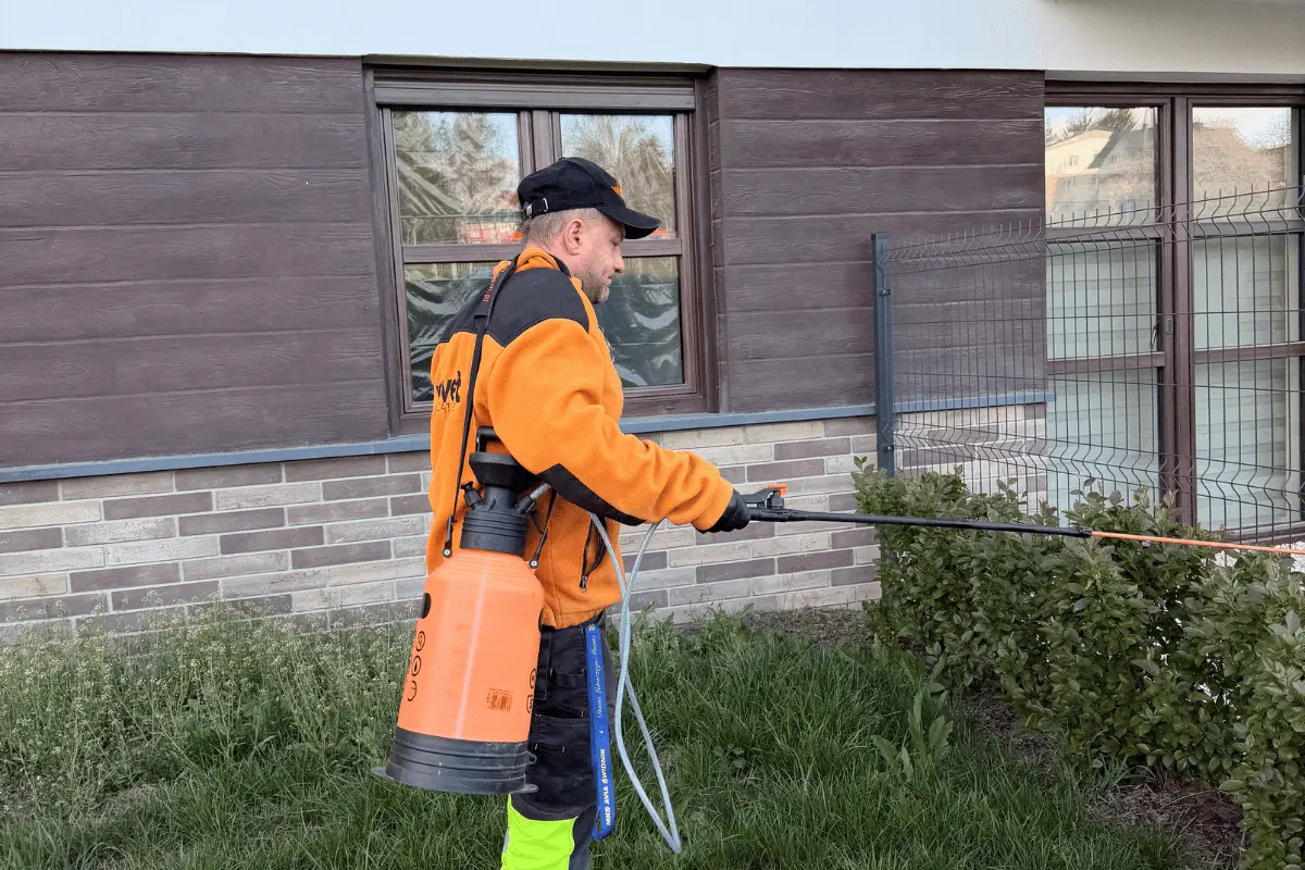 Profesjonalne odchwaszczanie terenów zielonych przy budynku i żywopłocie