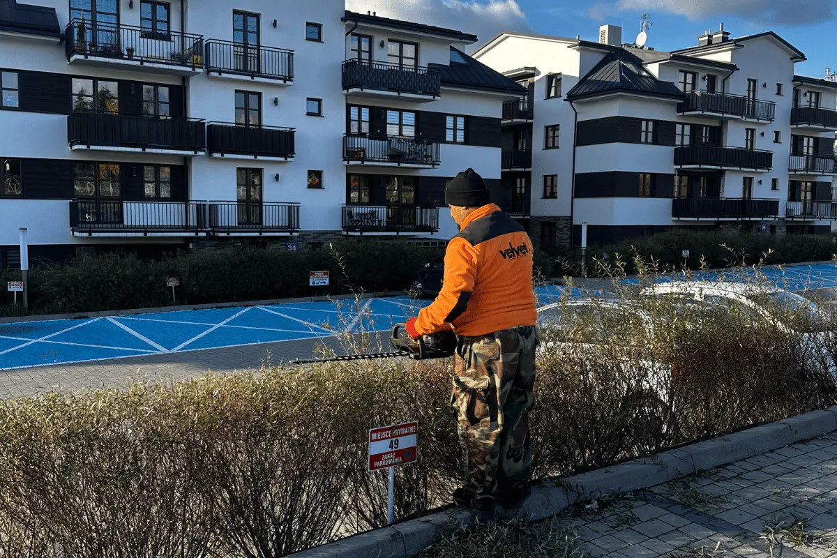 Przycinanie żywopłotu przy parkingu na osiedlu mieszkaniowym w Lublinie