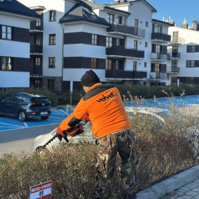 Utrzymanie osiedli i wspólnot – przycinanie żywopłotu, Velvet Sprzątanie Lublin